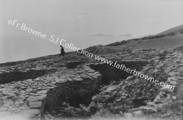 NEAR SLEA HEAD : CLOSE VIEW OF REMAINS